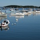 Boats in the harbor.