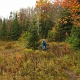 Jason gathered woods.