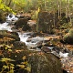 The lower section of the trail is quite beautiful, it runs along this brook.