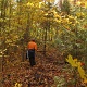 Kim and I decided to take Calkins Brook trail down the Seward Range.