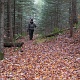 Quite a beautiful trail in the day light.