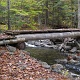 Really, this isn't a bad trail in the daylight, and even better during the drier season.