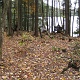 Plenty of flat ground around the lean-to for camping.