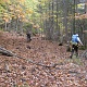 Muds under the fallen leaves, kinda hard to negotiate the way, but at this point my shoes were all wet again, I just walked right in it. It's not like they can get any wetter.