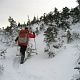 We lost the faint track somewhere near the summit of Iroquois and had to struggle with several spruce traps to make it to the summit.