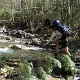 Kim crossing the river by balancing on the trees that were placed there. By the time we reached the last big crossing, we weren't concern about getting our feet wet anymore, and walked right into the cool water. Nice end of the hike out.