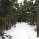 Jason approached the summit of south Hancock.