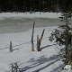 Elk Pass. The trail was a little blown-in, not too bad with snowshoes on.