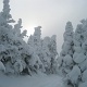 By the time we arrived at the summit, the cloud had closed in.