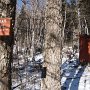 Moosefalls Campsite. There was barely any snow at all on the ground.