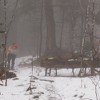 Hiking into the mist.