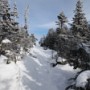 Approaching summit of Carter Dome.