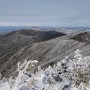 Looking at Mt Height the rest of the Carters.