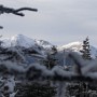 Views of Mt Adams and Mt Madison from the somewhat wooded summit of South Carter.