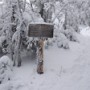 Arrived at Garfield ridge. 0.2 miles away from the summit.