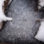 Big snowflakes on the frozen stream.