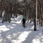 Jen on Mt Kinsman Trail.