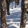 Kinsman Ridge Trail.