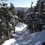 Views of South Kinsman from Kinsman Ridge Trail.