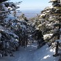 Looking back from Kinsman Ridge Trail.