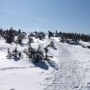 Kim approaching the summit of South Kinsman.