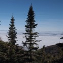 Cool sea of clouds.