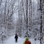 Lincoln Woods Trail.