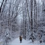 Lincoln Woods Trail.