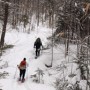 Black Pond Trail.