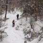 Black Pond Trail.