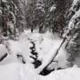 Lincoln Brook Trail.