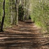 Lincoln Woods Trail.