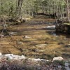 Small brook along Lincoln Woods Trail.