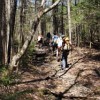 Lincoln Brook Trail.