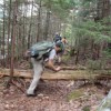 Crossing over the log and back on to maintained trail.