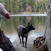 Geneva at Black Pond.