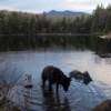 Geneva at Black Pond.