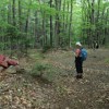 Back at the junction of Cabin and Big Rock Cave trail.