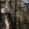 Junction of Bee Line and Old Paugus trail.