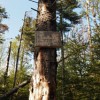 Junction of Lawrence trail and Cabin Trail. We almost missed this turn.