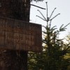 Junction of Lawrence trail and Cabin Trail.