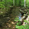 The trail was flooded.