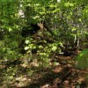 MEB clearing the bushes to allow the water flow away from the trail.